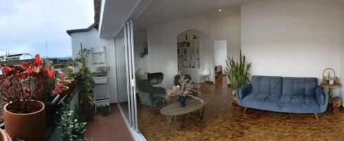 a living room with a blue couch and some plants at Habitación en COLIVING penthouse centro histórico in Popayan