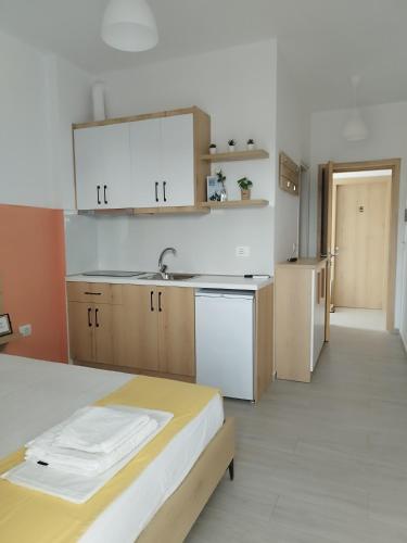 Kuchyň nebo kuchyňský kout v ubytování Iris Apartments Ksamil