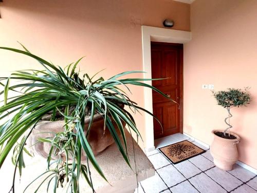 a potted plant sitting next to a door at Corfu Lake House in Kanoni