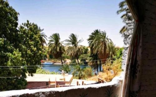 a view of a river and palm trees from a house at NUBA ONe in Aswan