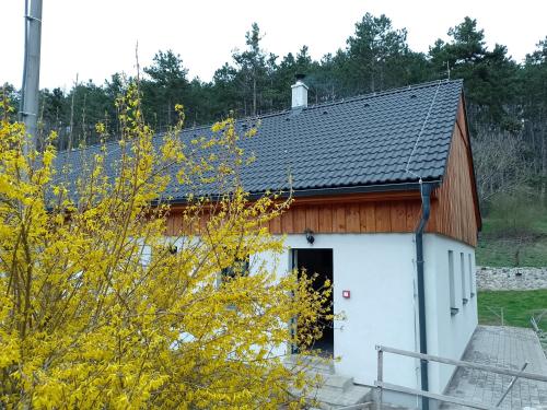 Králŭv DvŭrにあるPenzion Litohlavy 17 - Na samotě u lesaの茶色の屋根の小さな白い建物