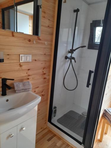 a bathroom with a shower with a sink and a toilet at Hausboot am See in Rieth
