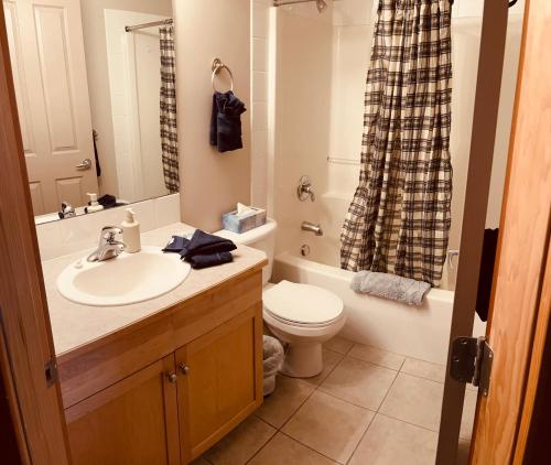 uma casa de banho com um lavatório, um WC e um chuveiro em Cozy Winter Wonderland Getaway em Canmore