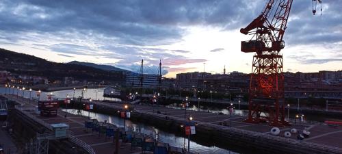 a view of a river with a crane in a city at Hotel Ria de Bilbao in Bilbao