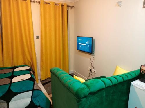 a living room with a green couch and a television at Comfy Haven -Rustic studio apartment in Donholm in Nairobi