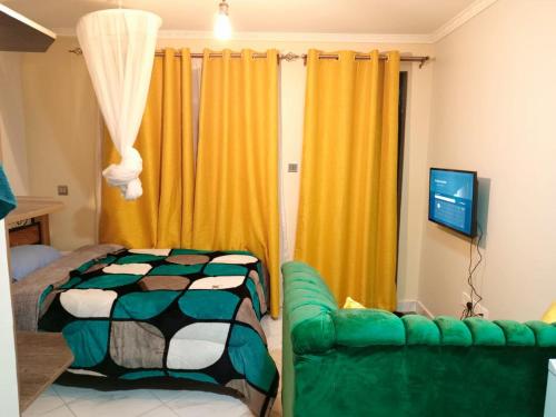 a living room with a couch and a television at Comfy Haven -Rustic studio apartment in Donholm in Nairobi