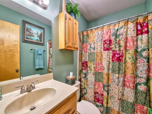 een badkamer met een wastafel en een douchegordijn bij Red Maple Lookout- Hidden Gem w/ Porch Mtn Views! in Waynesville