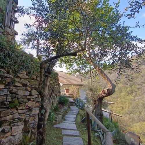 Tottavilla Affittacamere – Photos 4