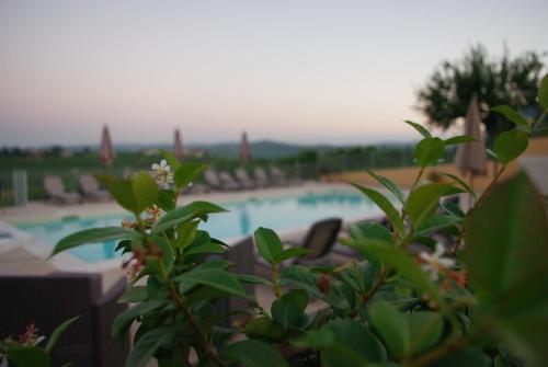 Bazén v ubytování NaturalMente Wine Resort nebo v jeho okolí