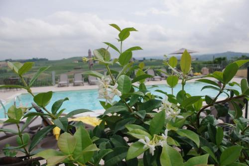 Bazén v ubytování NaturalMente Wine Resort nebo v jeho okolí