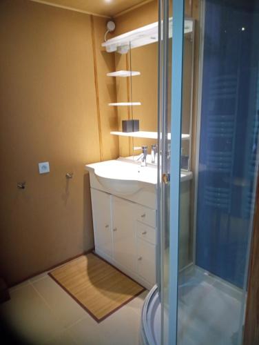uma casa de banho com um lavatório e um chuveiro em La Canette de Phil - Chambre d'hôtes - Hébergement indépendant - vue sur piscine em Samatan
