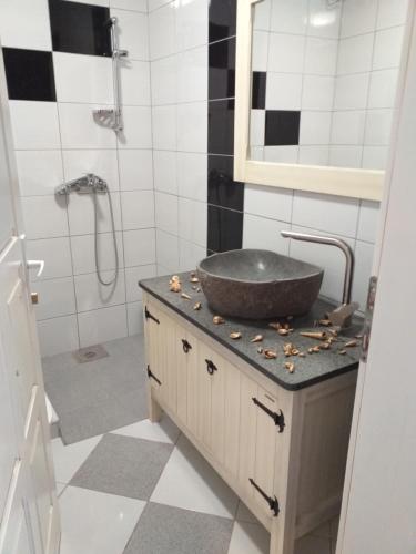 a bathroom with a sink and a shower at Vila sumska idila in Banja Koviljača