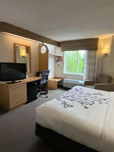 ein Hotelzimmer mit einem Bett, einem Schreibtisch und einem Fernseher in der Unterkunft Spark by Hilton Lynchburg in Lynchburg