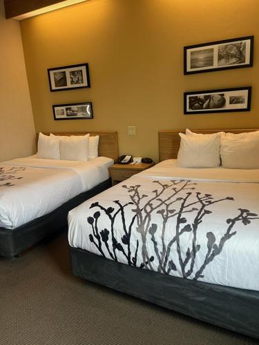 Ein Bett oder Betten in einem Zimmer der Unterkunft Spark by Hilton Lynchburg
