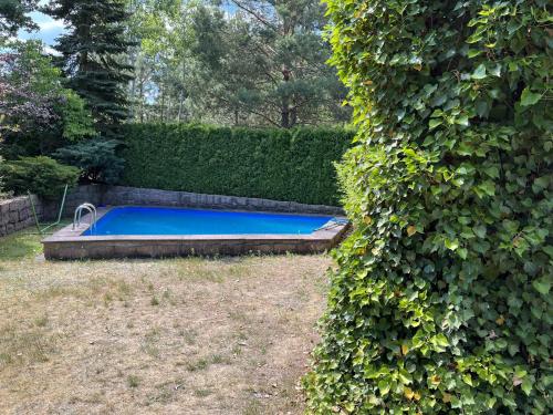 une piscine dans un jardin à côté d'une haie dans l'établissement Ferienhaus mit Pool zum Träumen und Entspannen für alle Sinne, à Bad Schmiedeberg