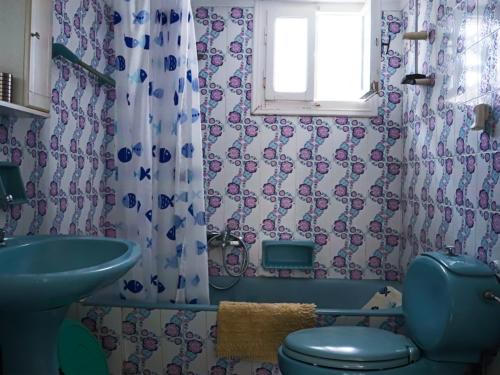 a bathroom with a blue toilet and a sink at Νatasas Place in Evia in Amarinthos