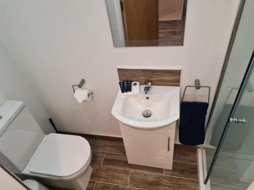 a bathroom with a toilet and a sink at The Manor Guest Accommodation Dungiven in Dungiven