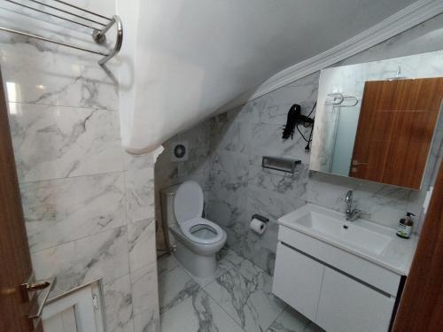 a bathroom with a toilet and a sink and a mirror at Cozy Home Next to Green Mosque in Yıldırım