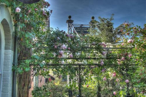 a garden with roses growing on a fence at Beautiful period cottage, exceptional riverside location in the heart of Chester in Chester