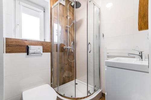 a bathroom with a shower and a toilet and a sink at Willa Green in Kąty Rybackie