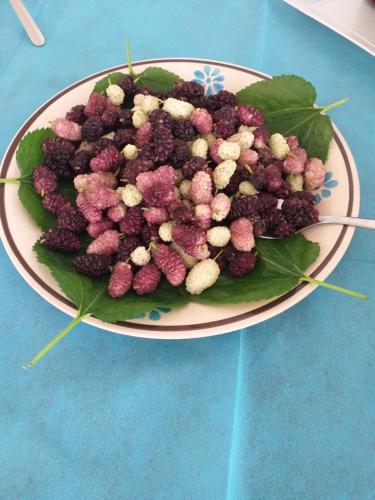 un piatto di frutta su un tavolo blu di B&B Solarium a Noto Marina