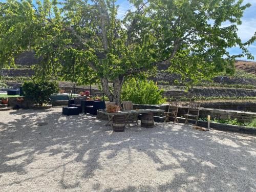 Κήπος έξω από το Quinta da Casa Cimeira, Guest House, Wines & Food