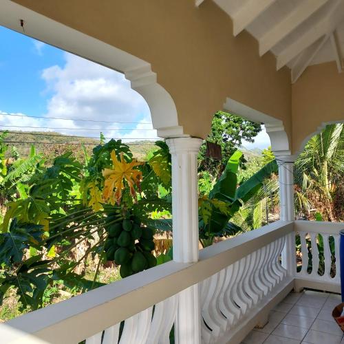 a balcony with a view of a banana plantation at River View in Micoud