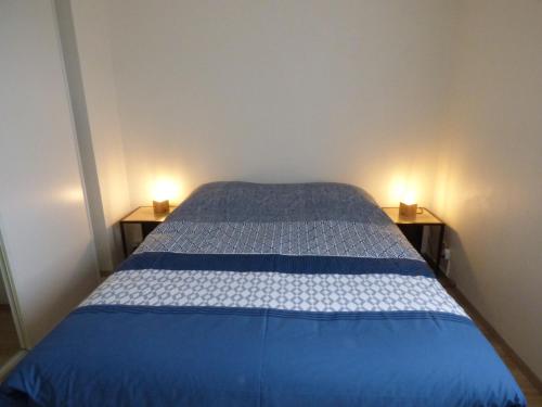 LES OISEAUX EN BAIE DE SOMME