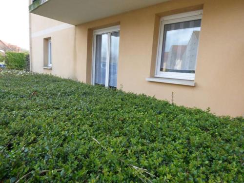 une colline herbeuse à côté d'un bâtiment avec fenêtre dans l'établissement LES OISEAUX EN BAIE DE SOMME, à Cayeux-sur-Mer