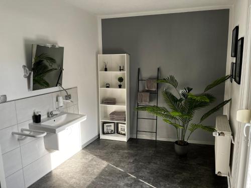 a bathroom with a sink and a potted plant at Ferienwohnung am See in Borken