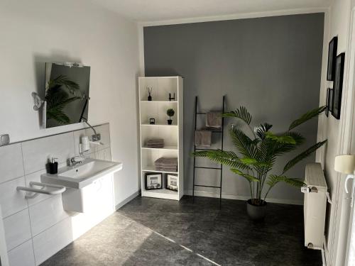 a bathroom with a sink and a potted plant at Ferienwohnung am See Dillich - Hunde willkommen - Eigener eingezäunter Garten - Ruhige Lage in Borken