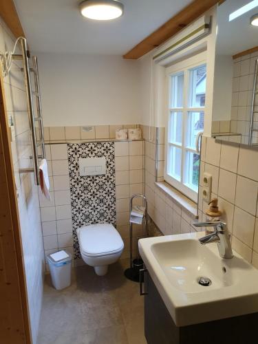 a bathroom with a toilet and a sink at Ferienhaus Bildhauer Thiele in Ottendorf