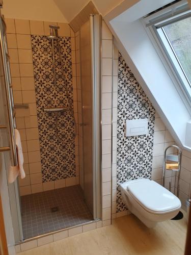 a bathroom with a toilet and a glass shower at Ferienhaus Bildhauer Thiele in Ottendorf