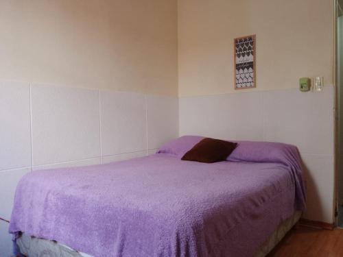 1 dormitorio con 1 cama con manta morada en Corazón Malbec en Mendoza