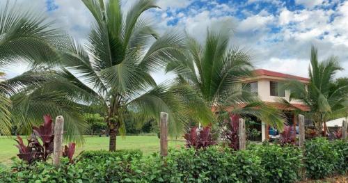 a house with palm trees in front of a yard at Quinta Don Noé in San Mateo