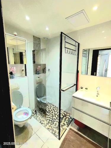 une salle de bain avec une douche, des toilettes et un lavabo dans l'établissement Charmant appart 4Per Marseille, à Marseille