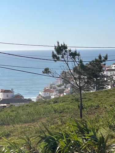 Fotografie z fotogalerie ubytování Azenhas Apartment v destinaci Sintra