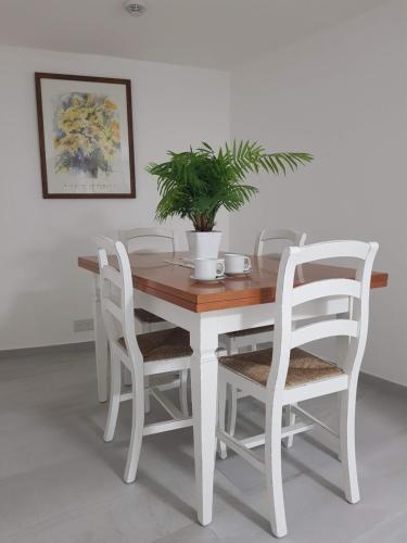 a wooden table and chairs with a plant on it at Tal-Kampjin in Mellieħa