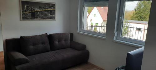 a brown couch in a room with two windows at Boróka Ház in Orfű