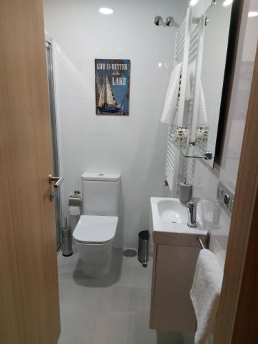a bathroom with a toilet and a sink and a mirror at Casa en piedra (Stone House) in Porriño