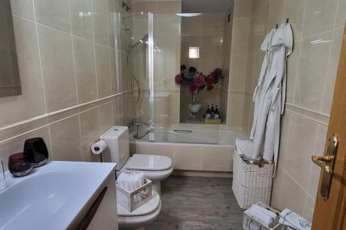 a bathroom with a toilet and a bath tub at Alojamiento Céntrico La Buganvilla in Aranda de Duero