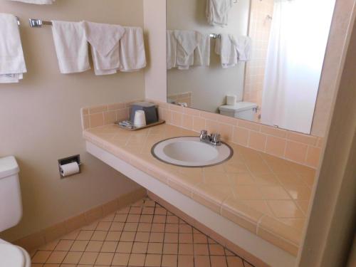 ein Badezimmer mit einem Waschbecken, einem Spiegel und einem WC in der Unterkunft Royal Host Motel in Las Cruces