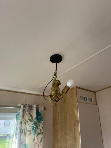 a monkey light hanging from the ceiling of a room at N and B caravan hire Flamingo Land in Kirby Misperton