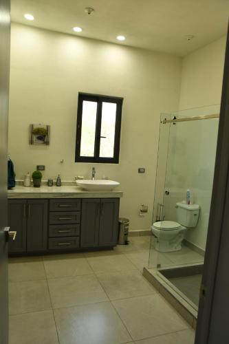 a bathroom with a sink and a toilet and a shower at Casa de Cuatro Vientos in Álamos