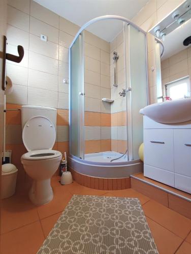 a bathroom with a shower and a toilet and a sink at Apartments Jolić in Vir