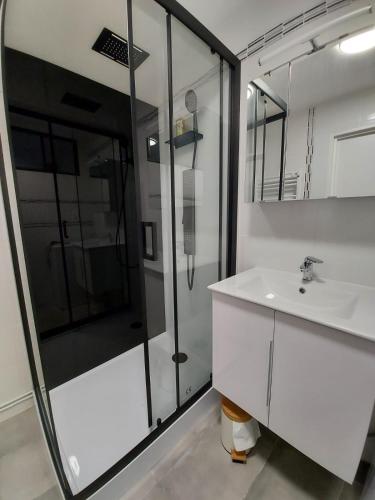 a bathroom with a shower and a sink at Appart'Hotel la Savoureuse in Belfort