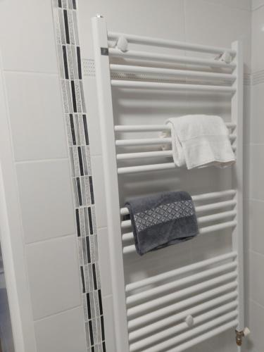 kabina prysznicowa z ręcznikiem w łazience w obiekcie Appart'Hotel la Savoureuse w Belfort