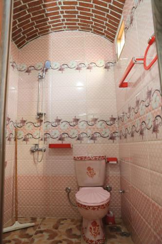 a bathroom with a toilet in a shower at Memnoun house in Luxor