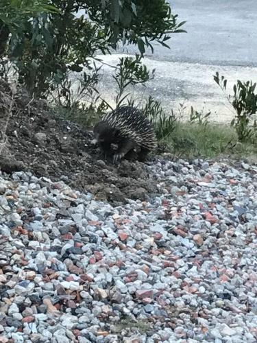 Landskap semula jadi dekat dengan rumah percutian