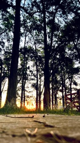 Camino al Sol – Photos 3
